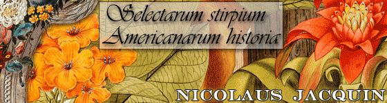  - Icones I: Selectarum stirpium Americanarum historia : in qua ad Linnaeanum systema determinatae descriptaeque sistuntur plantae illae, quas in insulis Martinica, Jamaica, Domingo aliisque et in vicinae continentis parte, observavit rariores; adjectis iconibus ad autoris archetypa pictis / Nicolai Josephi Jacquin.