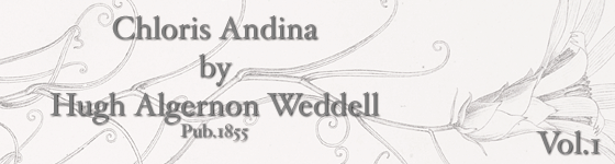Weddell, Hugh Algernon - Chloris andina : essai d'une flore de la région alpine des Cordillères de l'Amérique du Sud / par H.A. Weddell.
