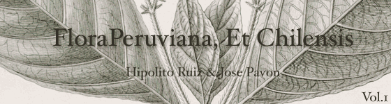  - Flora Peruviana, et Chilensis : sive, descriptiones, et icones plantarum Peruvianarum, et Chilensium, secundum systema Linnaeanum digestae, cum characteribus plurium generum evulgatorum reformatis / auctoribus Hippolyto Ruiz, et Josepho Pavon. Tomus I-III