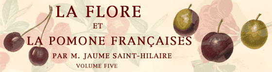  - La flore et la pomone françaises : histoire et figure en couleur,des fleurs et des fruits de France ou naturalisés sur le sol français