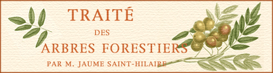  - Trait des arbres forestiers : ou histoire et description des arbre indignes ou naturaliss