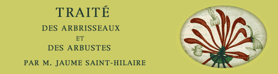  - Trait des arbrisseaux et des arbustes cultivs en France et en pleine