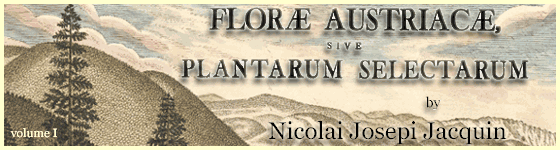  - Flor Austriac, sive, Plantarum selectarum in Austri archiducatu : sponte crescentium icones, ad vivum colorat, et descriptionibus, ac synonymis illustrat / opera et sumptibus Nicolai Josephi Jacquin.