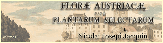  - Flor Austriac, sive, Plantarum selectarum in Austri archiducatu : sponte crescentium icones, ad vivum colorat, et descriptionibus, ac synonymis illustrat / opera et sumptibus Nicolai Josephi Jacquin.