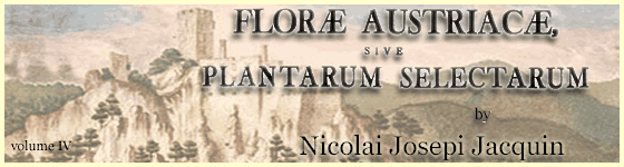  - Flor Austriac, sive, Plantarum selectarum in Austri archiducatu : sponte crescentium icones, ad vivum colorat, et descriptionibus, ac synonymis illustrat / opera et sumptibus Nicolai Josephi Jacquin.