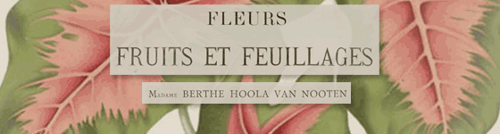  - Fleurs, fruits et feuillages choisis de l'ille de Java : peints d'aprs nature