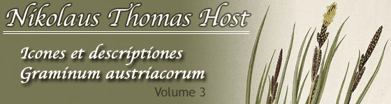  - Icones et descriptiones Graminum austriacorum
