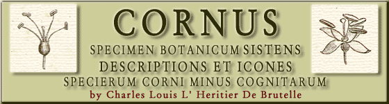  - Cornus : specimen botanicum sistens descriptiones et icones specierum corni minus cognitarum / Car. Lud. L'Héritier, Dom. de Brutelle.