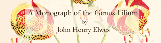 Elwes, Henry John - A monograph of the genus Lilium / by Henry John Elwes ; illustrated by W.H. Fitch.