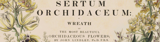  - Sertum orchidaceum: a wreath of the most beautiful orchidaceous flowers / selected by John Lindley
