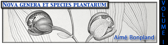  - Nova genera et species plantarum : quas in peregrinatione ad plagam aequinoctialem orbis novi collegerunt / descripserunt, partim adumbraverunt Amat. Bonpland et Alex. de Humboldt ; ex schedis autographis Amati Bonplandi in ordinem digessit Carol. Sigismund. Kunth ...