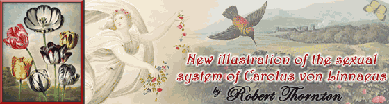  - New illustration of the sexual system of Carolus von 
Linnaeus : and the temple of Flora, or garden of nature.