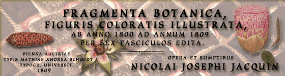  - Fragmenta botanica, figuris coloratis illustrata : ab anno 1800 ad annum 1809 per sex fasciculos edita / opera et sumptibus Nicolai Josephi Jacquin.
