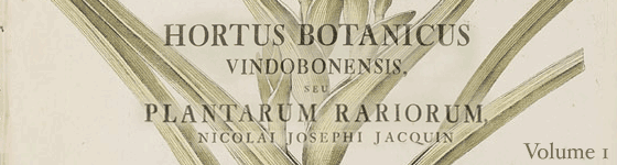  - Hortus botanicus vindobonensis, seu, Plantarum rariorum, quae in Horto botanico vindobonensi ... : coluntur, icones coloratae et succinctae descriptiones / cura et sumptibus Nicolai Josephi Jacquin 