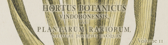  - Hortus botanicus vindobonensis, seu, Plantarum rariorum, quae in Horto botanico vindobonensi ... : coluntur, icones coloratae et succinctae descriptiones / cura et sumptibus Nicolai Josephi Jacquin ...