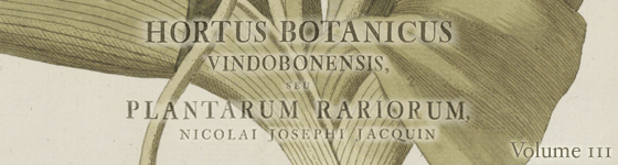  - Hortus botanicus vindobonensis, seu, Plantarum rariorum, quae in Horto botanico vindobonensi ... : coluntur, icones coloratae et succinctae descriptiones / cura et sumptibus Nicolai Josephi Jacquin ...