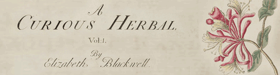  - A curious herbal, containing five hundred cuts, of the most useful plants, which are now used in the practice of physick : engraved on folio copper plates, after drawings taken from the life / by Elizabeth Blackwell. To which is added a short description of ye plants and their common uses in physick.
