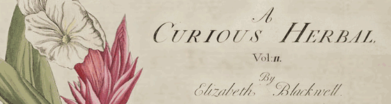  - A curious herbal, containing five hundred cuts, of the most useful plants, which are now used in the practice of physick : engraved on folio copper plates, after drawings taken from the life / by Elizabeth Blackwell. To which is added a short description of ye plants and their common uses in physick.