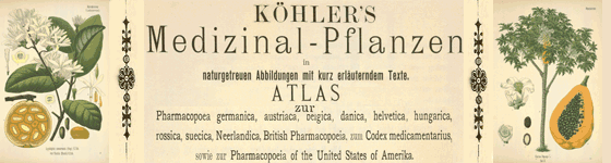  - Köhler's Medizinal-Pflanzen in naturgetreuen Abbildungen mit kurz erläuterndem Texte : Atlas zur Pharmacopoea germanica,