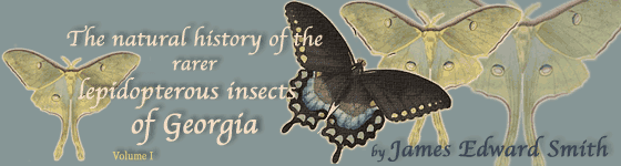  - The natural history of the rarer lepidopterous insects of Georgia : Including their systematic characters, the particulars of their several metamorphoses, and the plants on which they feed. Collected from the observation of Mr. John Abbot, many years resident in that country