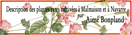  - Description des plantes rares cultives  Malmaison et  Navarre / par Aim Bonpland.