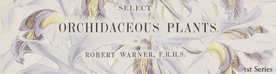  - Select orchidaceous plants : [first series] / by Robert Warner ; the notes on culture by Benjamin S. Williams.