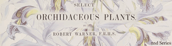 - Select orchidaceous plants : second series / by Robert Warner ; the notes on culture by Benjamin S. Williams.