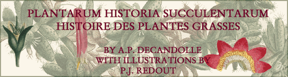 - Plantarum historia succulentarum = Histoire des plantes grasses / par A.P. Decandolle ; avec leurs figures en couleurs, dessinées par P.J. Redouté.